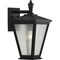 Progress Lighting Cardiff Collection One-Light Medium Wall Lantern with DURASHIELD P560167-031 - alternate 1
